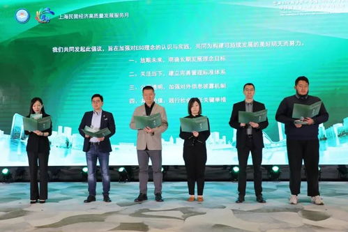 首場(chǎng)中外商會(huì)海上沙龍?jiān)跍e辦，聚焦軟件開發(fā)領(lǐng)域合作新機(jī)遇